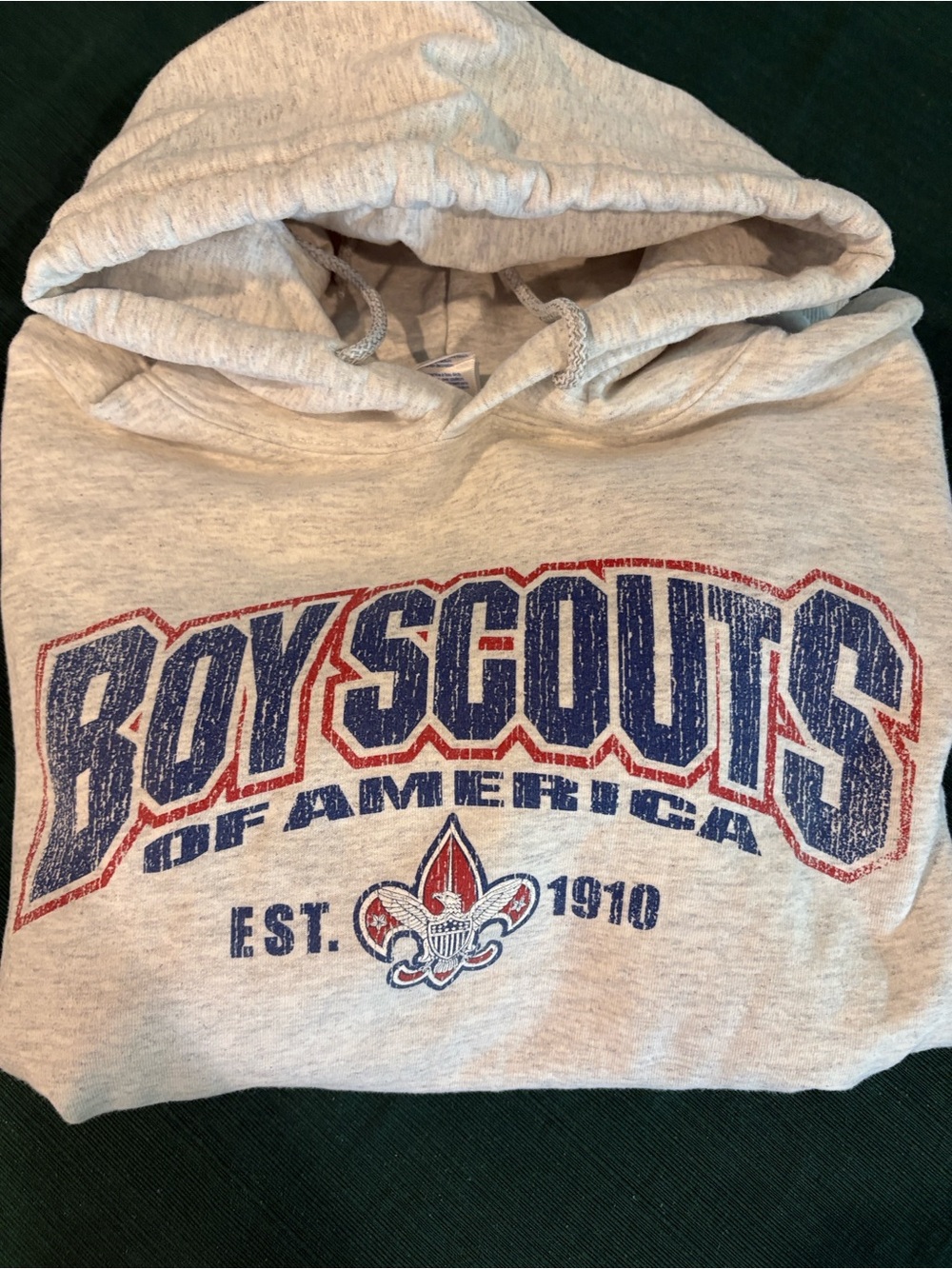 Vintage Boy Scouts of America Men’s XL Heavyweight Hoodie Gildan Gray